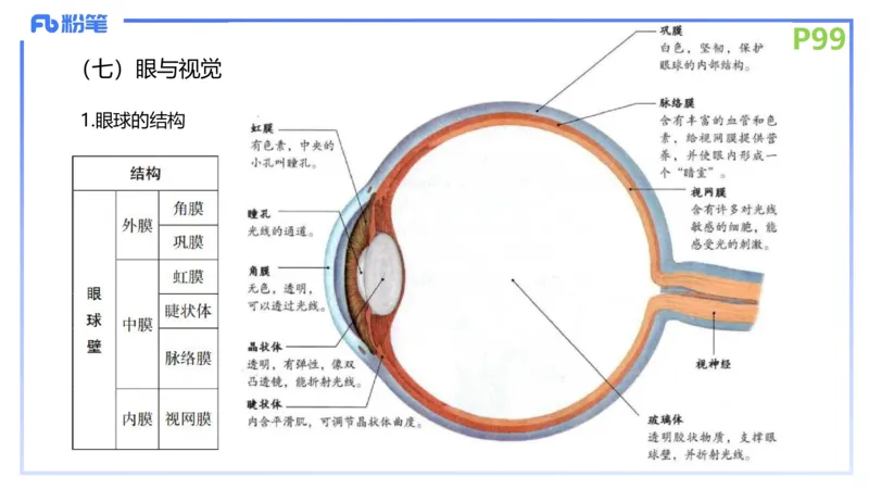 理论精讲13-动物学3-拾光_4-教培资料-26年最新资料-同步更新_初中高中教资_03科三专项（进去保存报考的学科即可）_01科目三FB网课、三色速记手册、知识点导图等推荐_初中