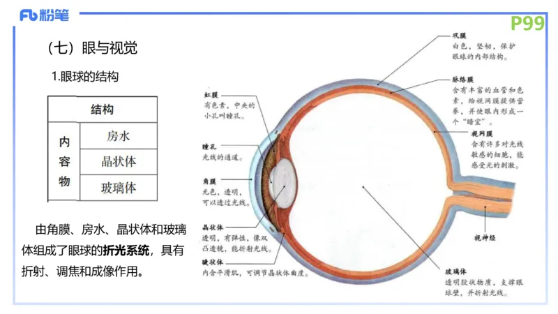 理论精讲13-动物学3-拾光_4-教培资料-26年最新资料-同步更新_初中高中教资_03科三专项（进去保存报考的学科即可）_01科目三FB网课、三色速记手册、知识点导图等推荐_初中