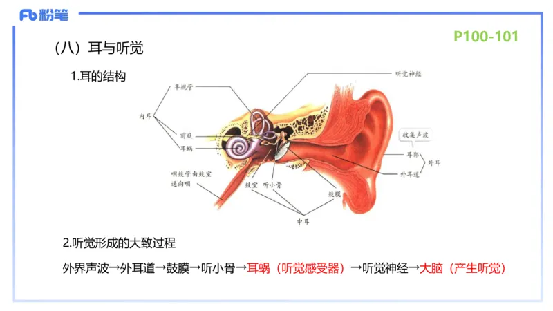 理论精讲13-动物学3-拾光_4-教培资料-26年最新资料-同步更新_初中高中教资_03科三专项（进去保存报考的学科即可）_01科目三FB网课、三色速记手册、知识点导图等推荐_初中