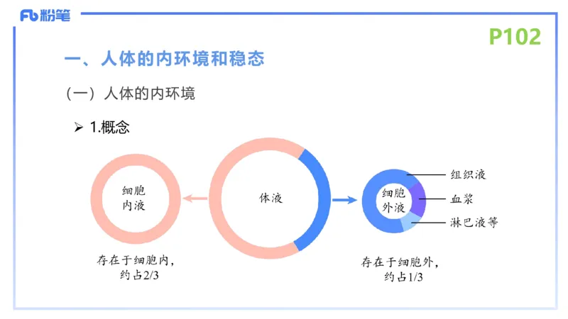 理论精讲13-动物学3-拾光_4-教培资料-26年最新资料-同步更新_初中高中教资_03科三专项（进去保存报考的学科即可）_01科目三FB网课、三色速记手册、知识点导图等推荐_初中