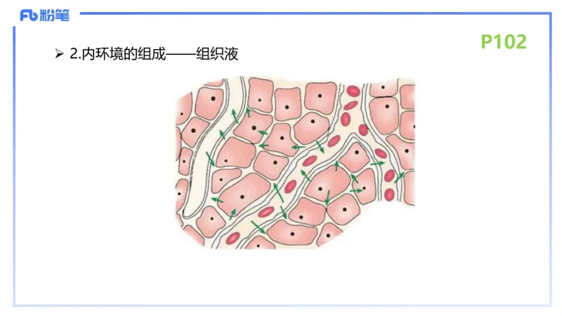 理论精讲13-动物学3-拾光_4-教培资料-26年最新资料-同步更新_初中高中教资_03科三专项（进去保存报考的学科即可）_01科目三FB网课、三色速记手册、知识点导图等推荐_初中