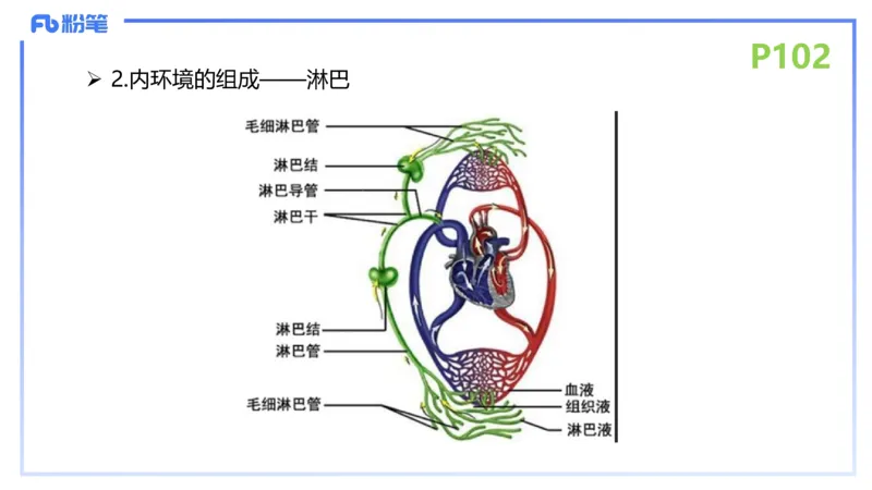 理论精讲13-动物学3-拾光_4-教培资料-26年最新资料-同步更新_初中高中教资_03科三专项（进去保存报考的学科即可）_01科目三FB网课、三色速记手册、知识点导图等推荐_初中