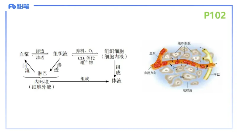 理论精讲13-动物学3-拾光_4-教培资料-26年最新资料-同步更新_初中高中教资_03科三专项（进去保存报考的学科即可）_01科目三FB网课、三色速记手册、知识点导图等推荐_初中