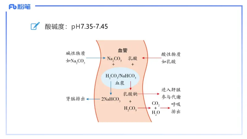 理论精讲13-动物学3-拾光_4-教培资料-26年最新资料-同步更新_初中高中教资_03科三专项（进去保存报考的学科即可）_01科目三FB网课、三色速记手册、知识点导图等推荐_初中