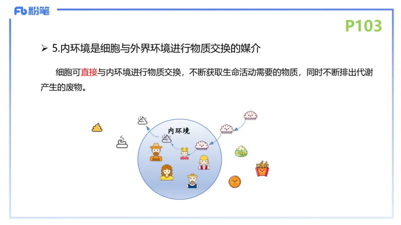 理论精讲13-动物学3-拾光_4-教培资料-26年最新资料-同步更新_初中高中教资_03科三专项（进去保存报考的学科即可）_01科目三FB网课、三色速记手册、知识点导图等推荐_初中