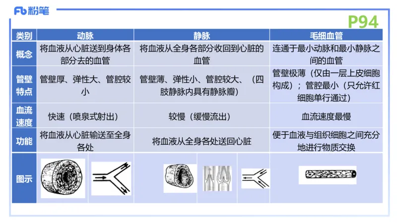 理论精讲13-动物学3-拾光_4-教培资料-26年最新资料-同步更新_初中高中教资_03科三专项（进去保存报考的学科即可）_01科目三FB网课、三色速记手册、知识点导图等推荐_初中