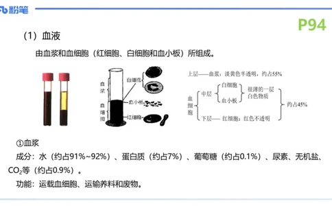 理论精讲13-动物学3-拾光_4-教培资料-26年最新资料-同步更新_初中高中教资_03科三专项（进去保存报考的学科即可）_01科目三FB网课、三色速记手册、知识点导图等推荐_初中
