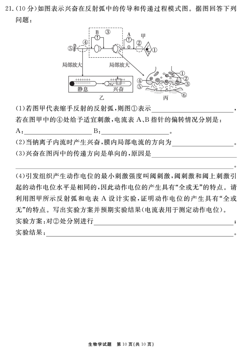 安徽省合肥一六八中学2023-2024学年高三上学期名校名师测评卷（四）生物试题_2024届安徽省合肥一六八中学高三上学期名校名师测评卷（四）