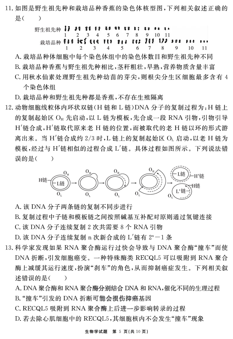 安徽省合肥一六八中学2023-2024学年高三上学期名校名师测评卷（四）生物试题_2024届安徽省合肥一六八中学高三上学期名校名师测评卷（四）