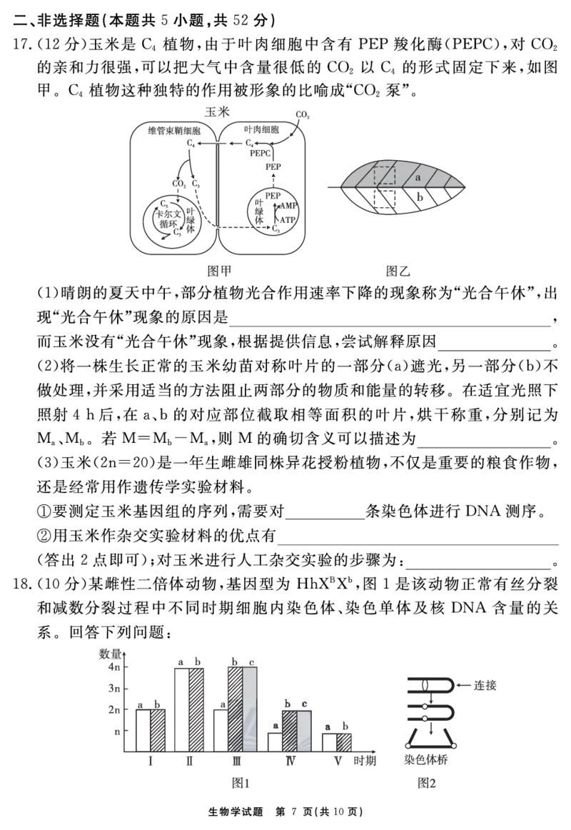 安徽省合肥一六八中学2023-2024学年高三上学期名校名师测评卷（四）生物试题_2024届安徽省合肥一六八中学高三上学期名校名师测评卷（四）