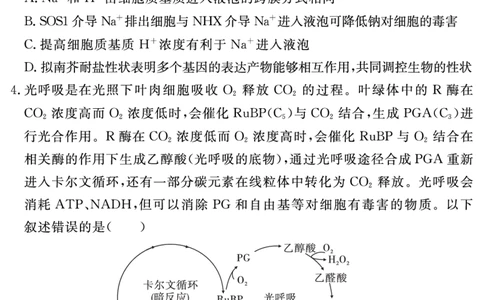 安徽省合肥一六八中学2023-2024学年高三上学期名校名师测评卷（四）生物试题_2024届安徽省合肥一六八中学高三上学期名校名师测评卷（四）