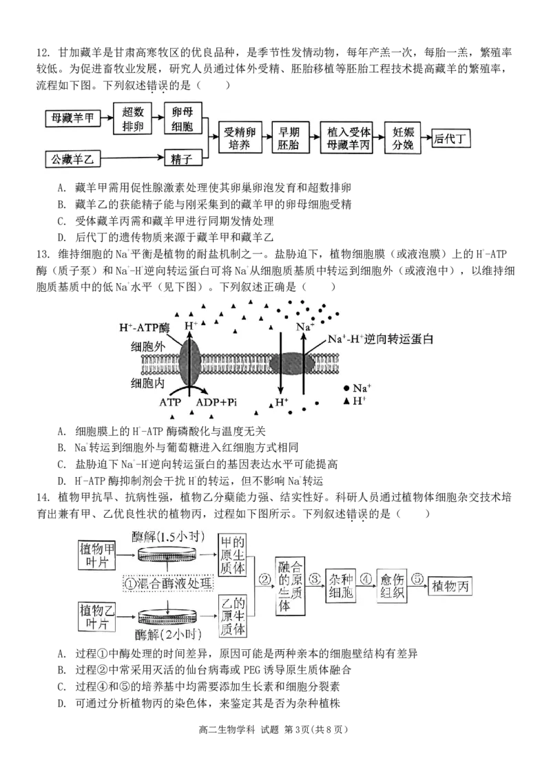 生物试题｜2506新力量联盟期末联考_2025年6月_250626浙江省温州市新力量2024-2025学年高二下学期6月期末（全科）_浙江省温州市新力量联盟2024-2025学年高二下学期6月期末生物