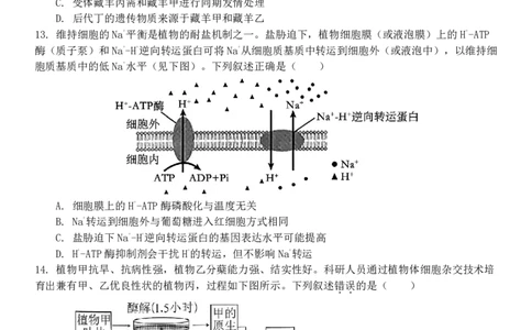 生物试题｜2506新力量联盟期末联考_2025年6月_250626浙江省温州市新力量2024-2025学年高二下学期6月期末（全科）_浙江省温州市新力量联盟2024-2025学年高二下学期6月期末生物