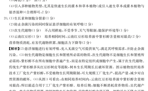 金太阳25-003B河南省2024-2025学年高二下学期6月百万大联考生物学答案_2025年7月_250705河南省2024-2025学年高二下学期6月百万大联考（金太阳25-003B）