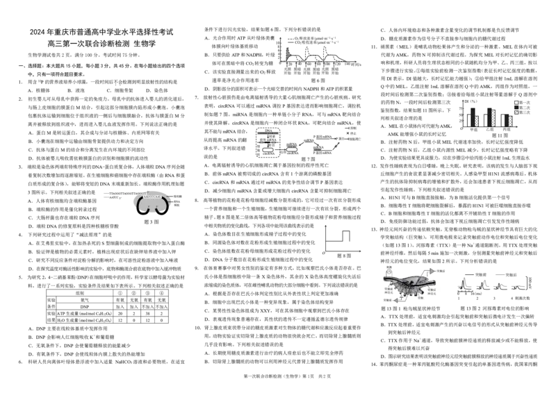 康德2024年重庆市普通高中学业水平选择性考试高三第一次联合诊断检测生物试题_2024届重庆一诊康德卷普通高等学校招生全国统一考试高三第一次联合诊断检测