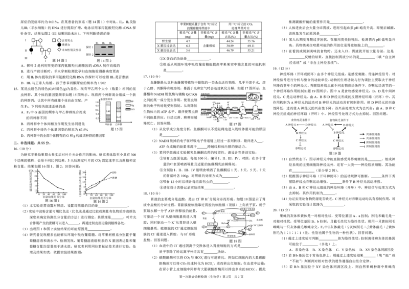 康德2024年重庆市普通高中学业水平选择性考试高三第一次联合诊断检测生物试题_2024届重庆一诊康德卷普通高等学校招生全国统一考试高三第一次联合诊断检测