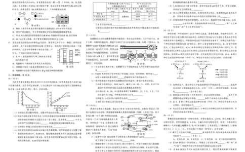 康德2024年重庆市普通高中学业水平选择性考试高三第一次联合诊断检测生物试题_2024届重庆一诊康德卷普通高等学校招生全国统一考试高三第一次联合诊断检测