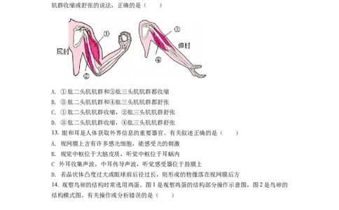 精品解析：2022年江苏省连云港市中考生物真题（原卷版）_中考真题_8.生物中考真题2015-2024年_2022年全国中考生物114份14