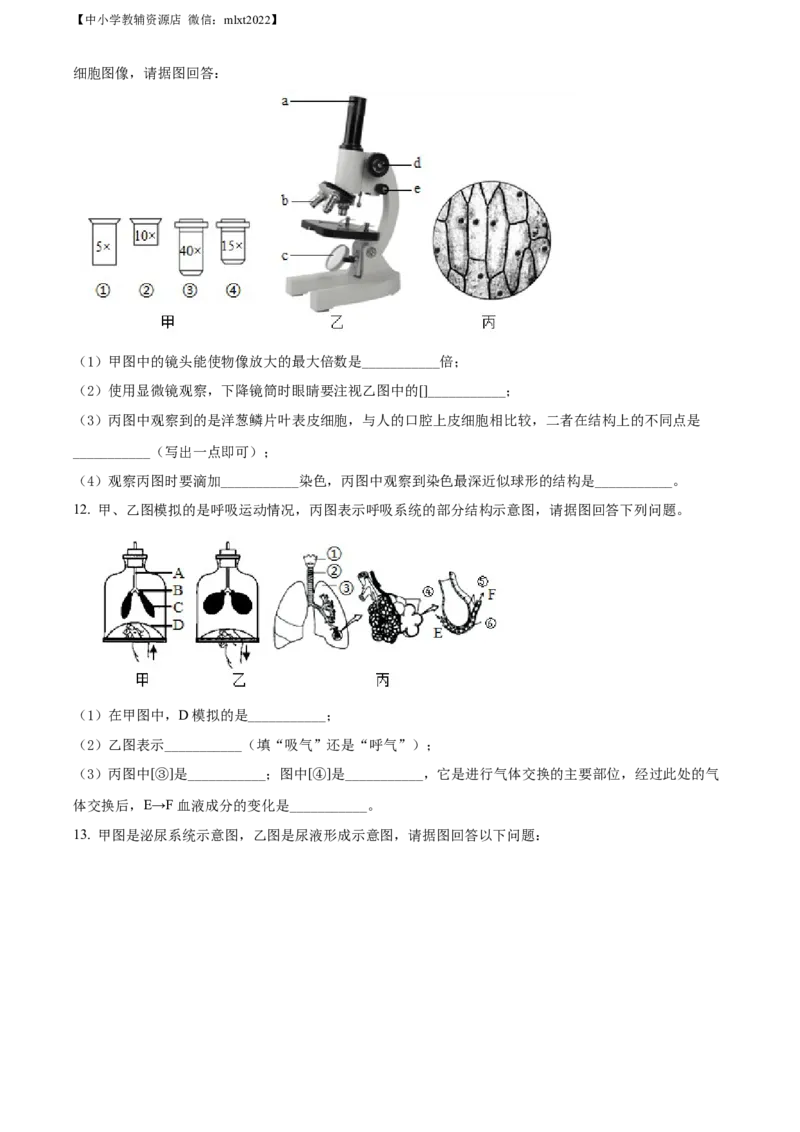 精品解析：2022年辽宁省本溪市中考生物真题（原卷版）_中考真题_8.生物中考真题2015-2024年_2022年全国中考生物114份14