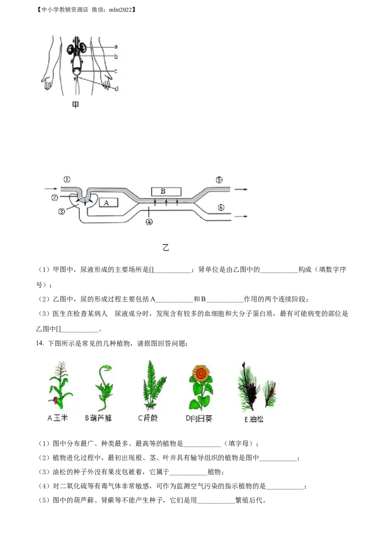精品解析：2022年辽宁省本溪市中考生物真题（原卷版）_中考真题_8.生物中考真题2015-2024年_2022年全国中考生物114份14