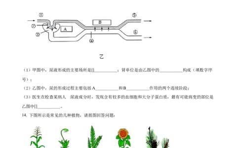 精品解析：2022年辽宁省本溪市中考生物真题（原卷版）_中考真题_8.生物中考真题2015-2024年_2022年全国中考生物114份14