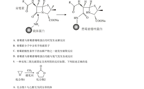 黑龙江省哈尔滨市2024-2025学年高二下学期7月期末化学试题（含答案）_2025年7月_250717黑龙江省哈尔滨市2024-2025学年高二下学期期末质量检测（全科）