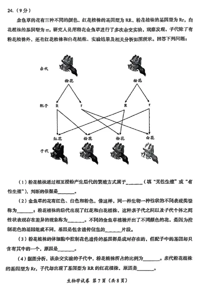 2025成都中考生物真题及答案解析_2025全国各地《中考真题试卷及答案》_2025成都中考真题及答案
