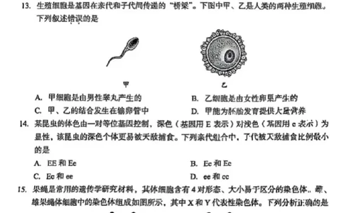 2025成都中考生物真题及答案解析_2025全国各地《中考真题试卷及答案》_2025成都中考真题及答案