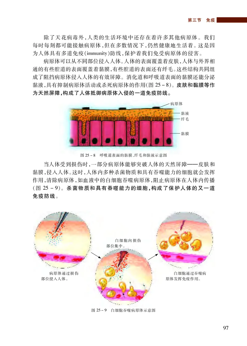 苏教版8年级生物下册高清教材_4-教培资料-26年最新资料-同步更新_初中高中教资_03科三专项（进去保存报考的学科即可）_02科三专项（笔记真题思维导图教学设计版本二）