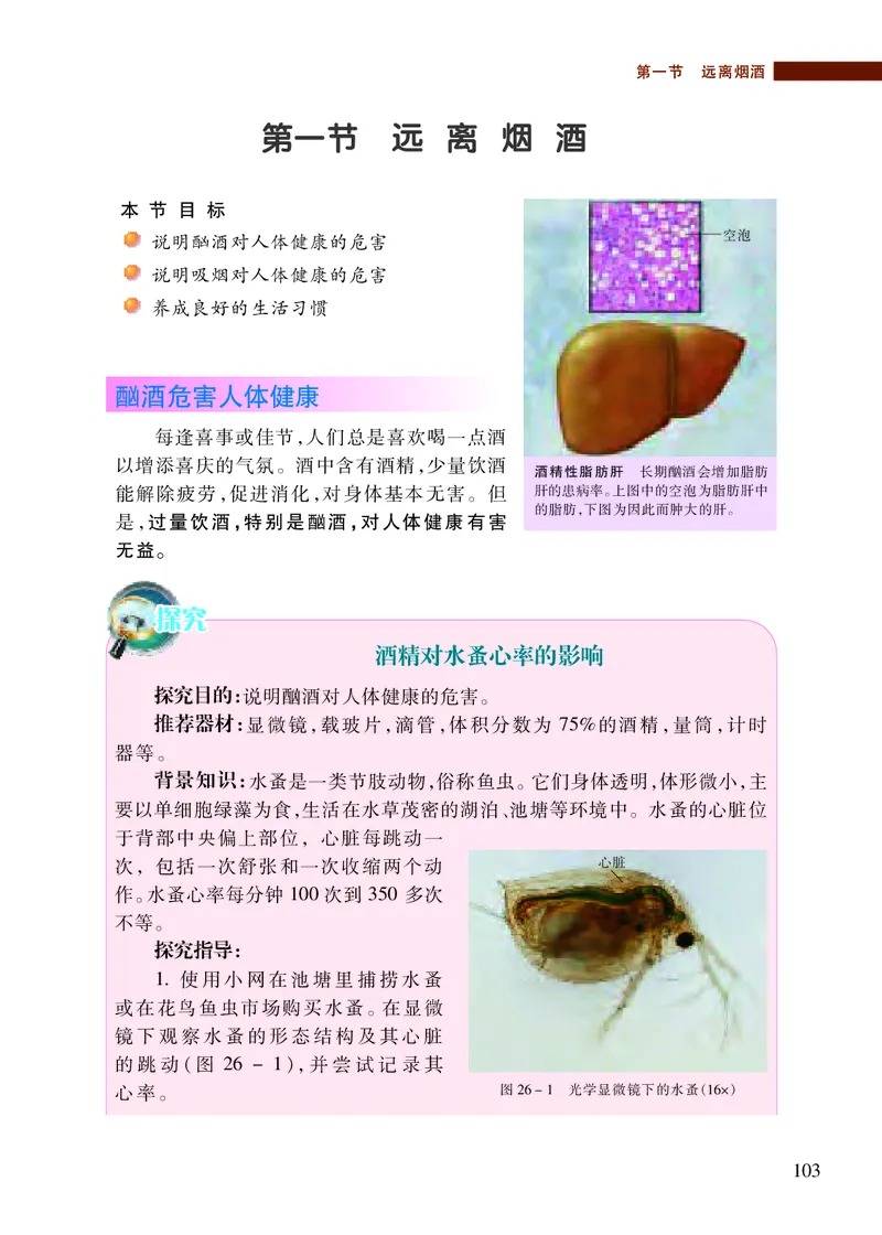 苏教版8年级生物下册高清教材_4-教培资料-26年最新资料-同步更新_初中高中教资_03科三专项（进去保存报考的学科即可）_02科三专项（笔记真题思维导图教学设计版本二）