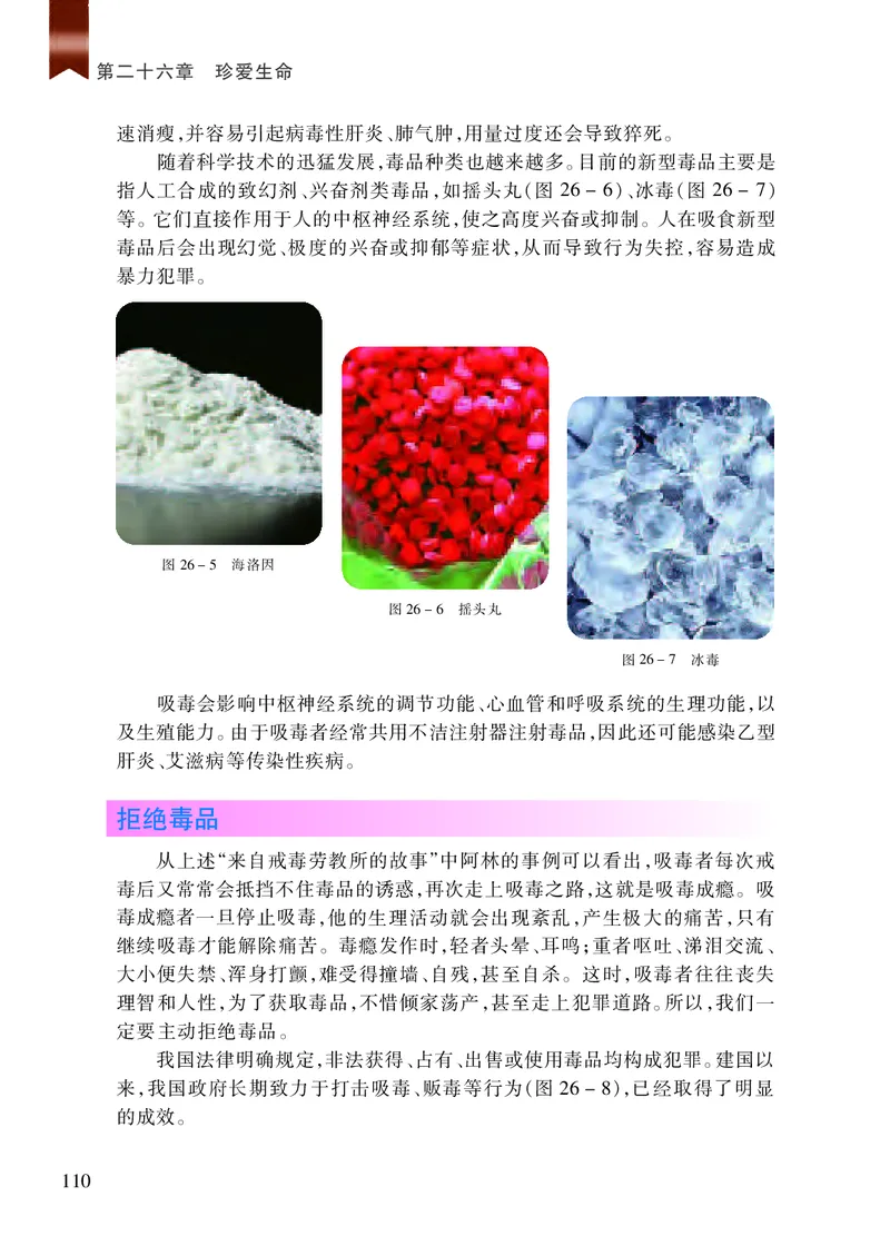 苏教版8年级生物下册高清教材_4-教培资料-26年最新资料-同步更新_初中高中教资_03科三专项（进去保存报考的学科即可）_02科三专项（笔记真题思维导图教学设计版本二）