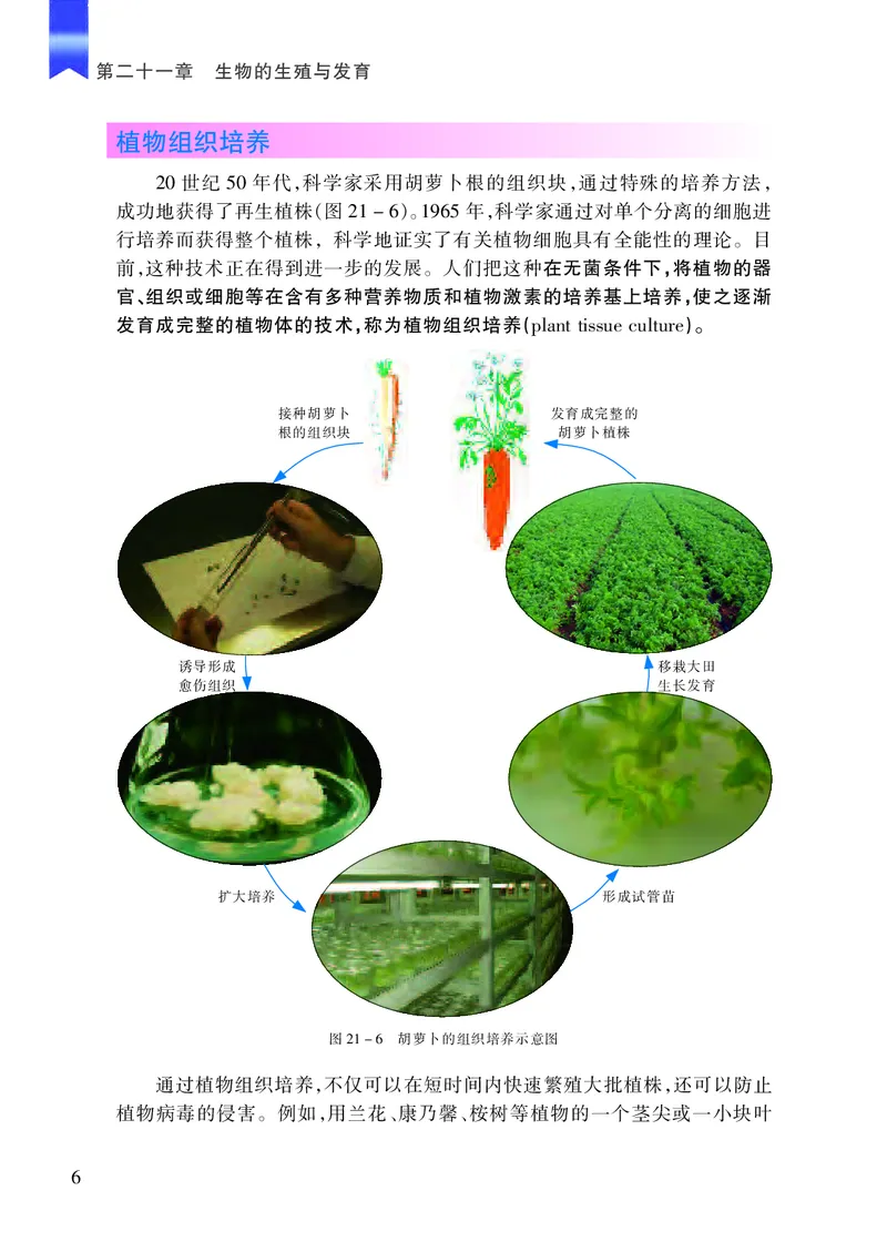 苏教版8年级生物下册高清教材_4-教培资料-26年最新资料-同步更新_初中高中教资_03科三专项（进去保存报考的学科即可）_02科三专项（笔记真题思维导图教学设计版本二）