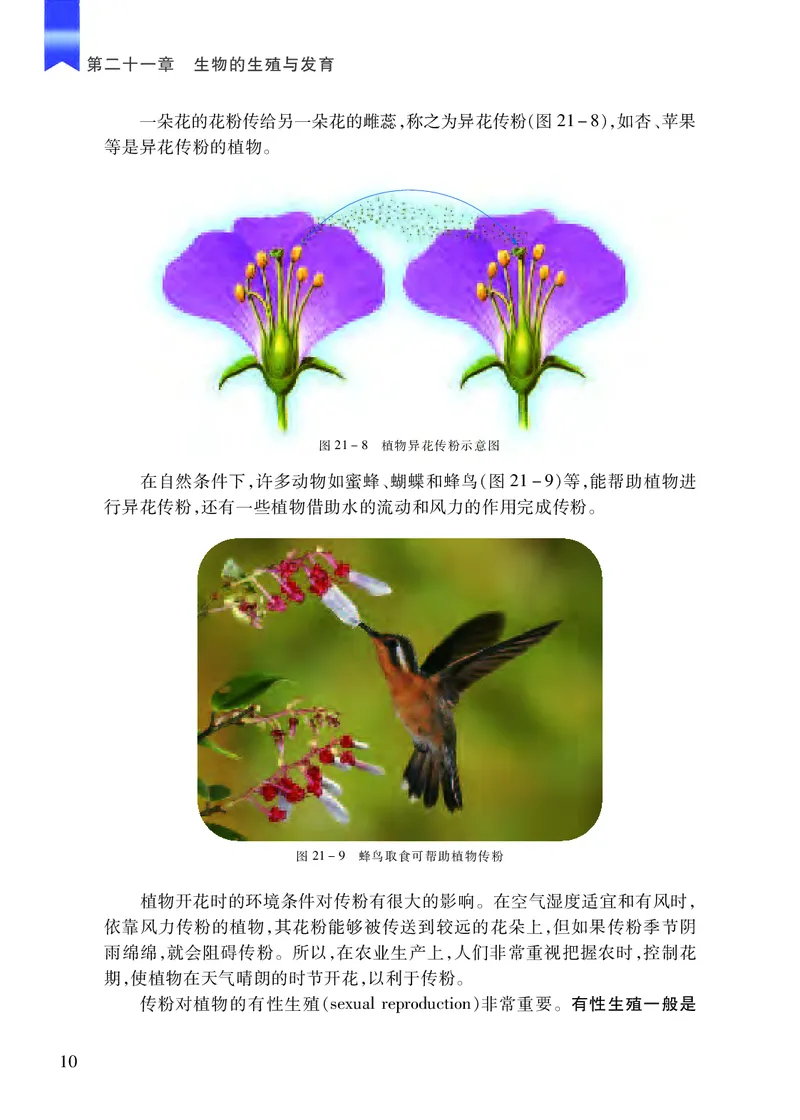 苏教版8年级生物下册高清教材_4-教培资料-26年最新资料-同步更新_初中高中教资_03科三专项（进去保存报考的学科即可）_02科三专项（笔记真题思维导图教学设计版本二）