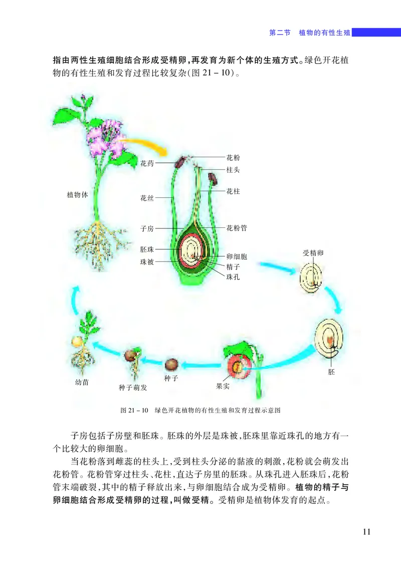 苏教版8年级生物下册高清教材_4-教培资料-26年最新资料-同步更新_初中高中教资_03科三专项（进去保存报考的学科即可）_02科三专项（笔记真题思维导图教学设计版本二）