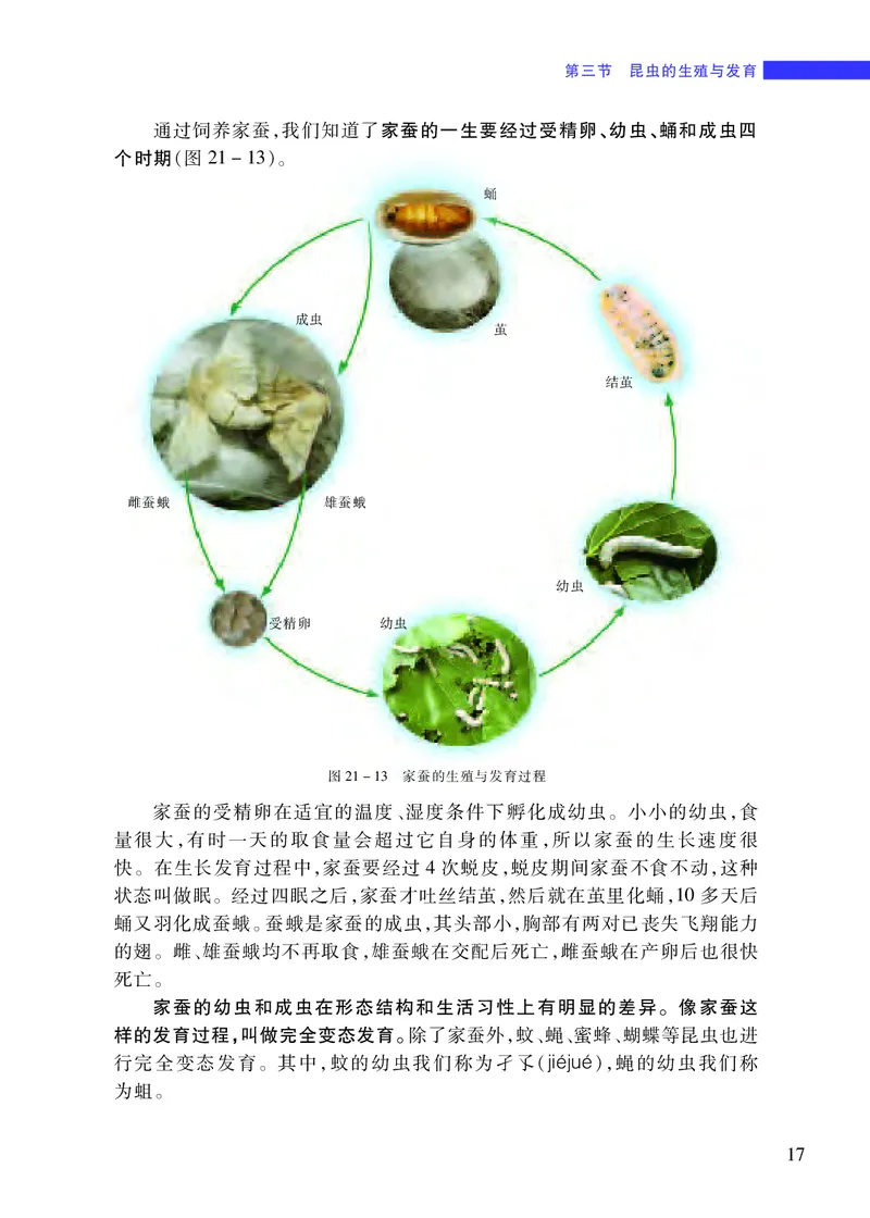 苏教版8年级生物下册高清教材_4-教培资料-26年最新资料-同步更新_初中高中教资_03科三专项（进去保存报考的学科即可）_02科三专项（笔记真题思维导图教学设计版本二）