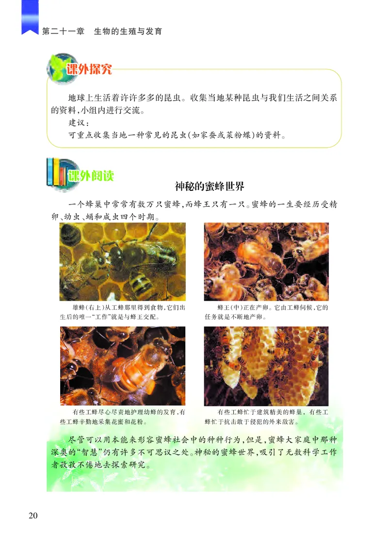 苏教版8年级生物下册高清教材_4-教培资料-26年最新资料-同步更新_初中高中教资_03科三专项（进去保存报考的学科即可）_02科三专项（笔记真题思维导图教学设计版本二）