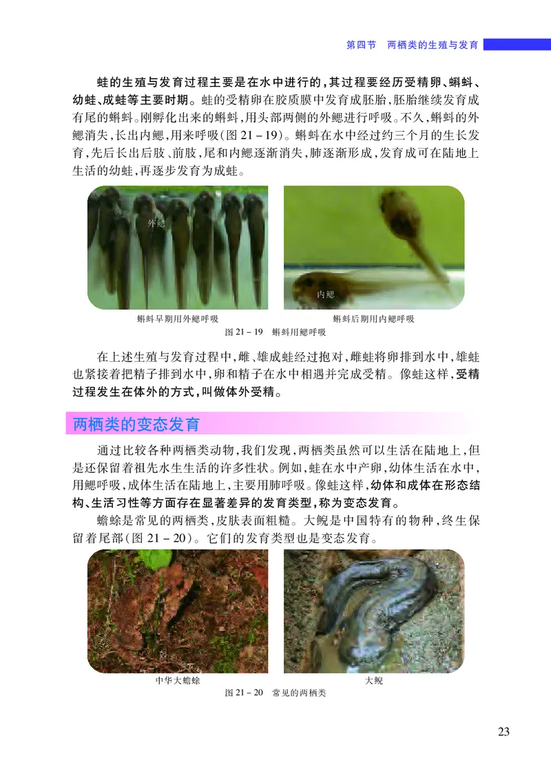 苏教版8年级生物下册高清教材_4-教培资料-26年最新资料-同步更新_初中高中教资_03科三专项（进去保存报考的学科即可）_02科三专项（笔记真题思维导图教学设计版本二）