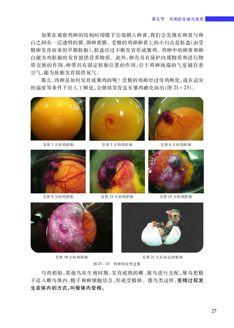 苏教版8年级生物下册高清教材_4-教培资料-26年最新资料-同步更新_初中高中教资_03科三专项（进去保存报考的学科即可）_02科三专项（笔记真题思维导图教学设计版本二）