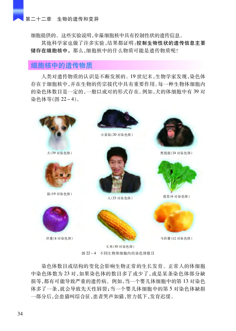 苏教版8年级生物下册高清教材_4-教培资料-26年最新资料-同步更新_初中高中教资_03科三专项（进去保存报考的学科即可）_02科三专项（笔记真题思维导图教学设计版本二）