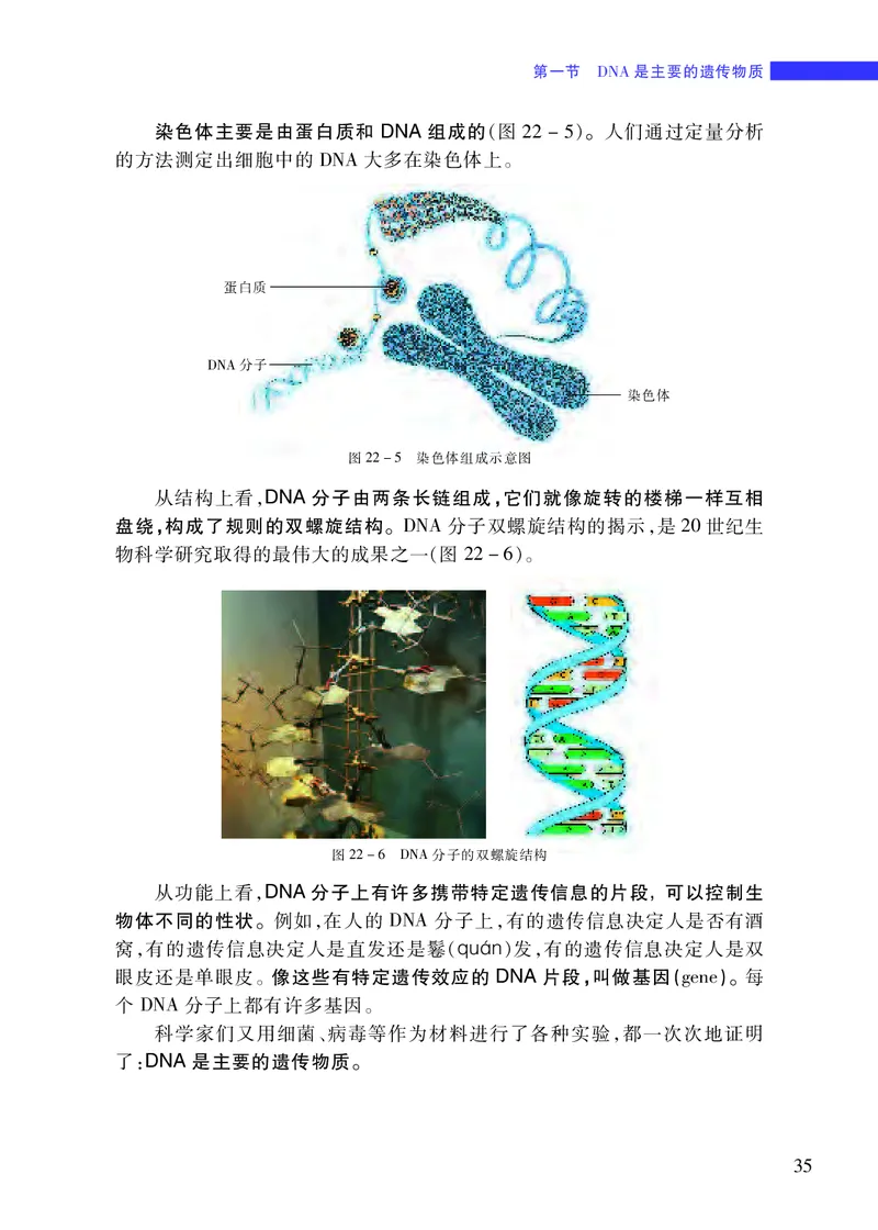 苏教版8年级生物下册高清教材_4-教培资料-26年最新资料-同步更新_初中高中教资_03科三专项（进去保存报考的学科即可）_02科三专项（笔记真题思维导图教学设计版本二）