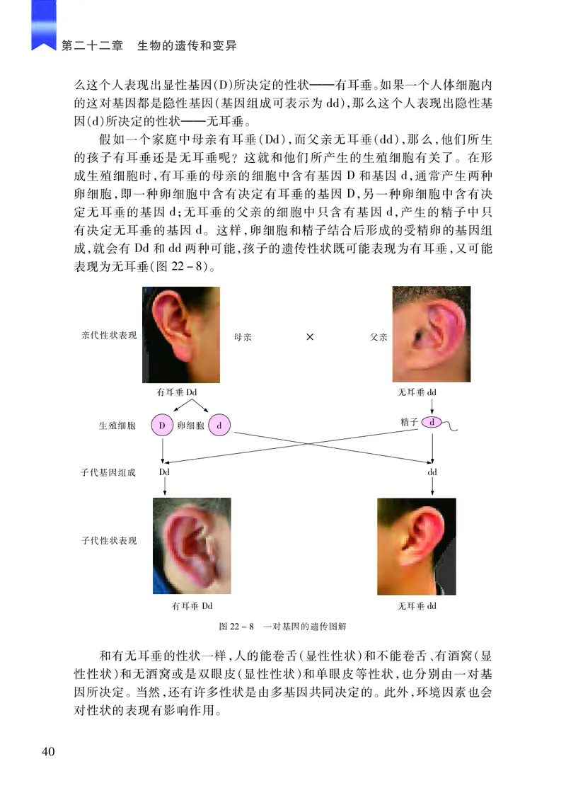 苏教版8年级生物下册高清教材_4-教培资料-26年最新资料-同步更新_初中高中教资_03科三专项（进去保存报考的学科即可）_02科三专项（笔记真题思维导图教学设计版本二）