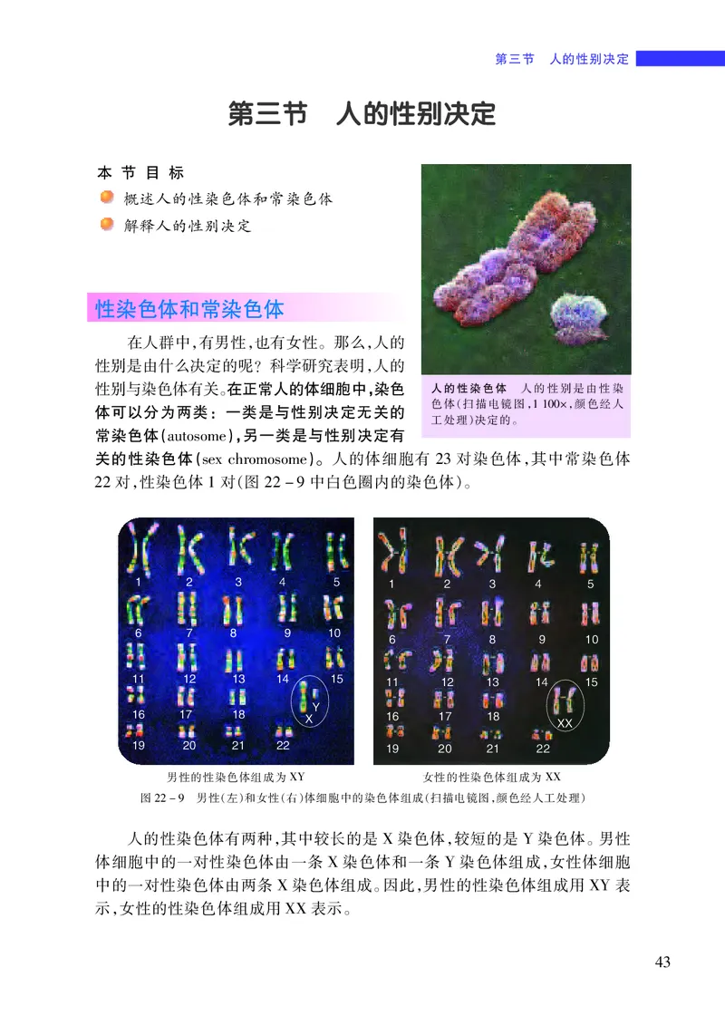 苏教版8年级生物下册高清教材_4-教培资料-26年最新资料-同步更新_初中高中教资_03科三专项（进去保存报考的学科即可）_02科三专项（笔记真题思维导图教学设计版本二）