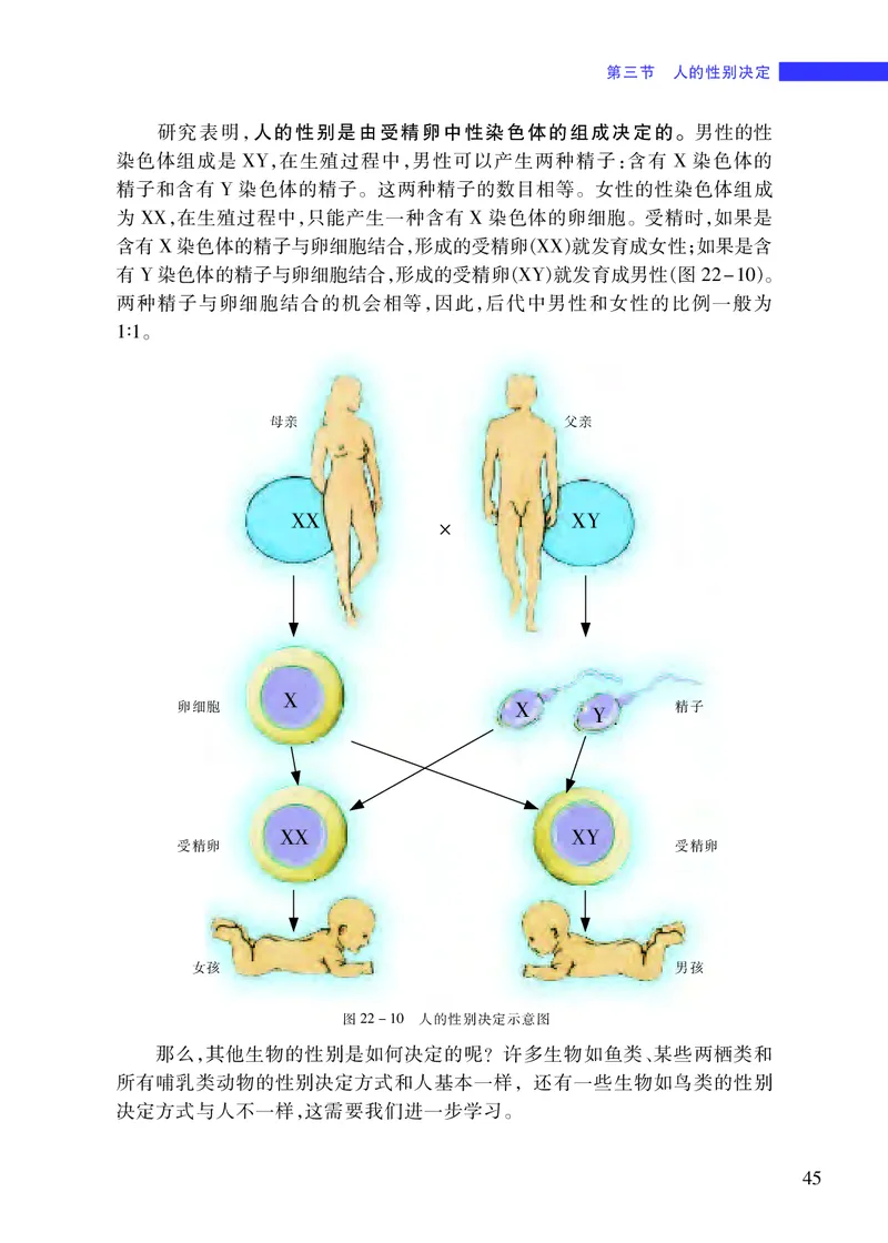苏教版8年级生物下册高清教材_4-教培资料-26年最新资料-同步更新_初中高中教资_03科三专项（进去保存报考的学科即可）_02科三专项（笔记真题思维导图教学设计版本二）