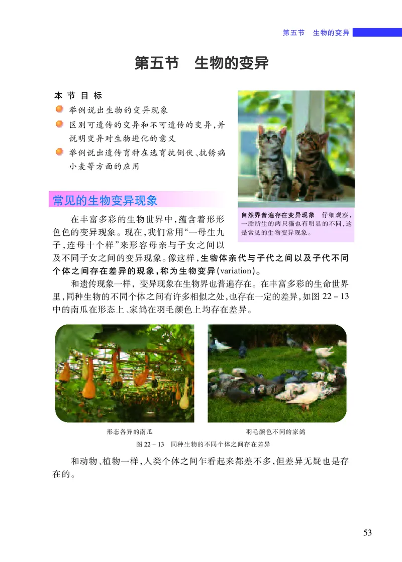 苏教版8年级生物下册高清教材_4-教培资料-26年最新资料-同步更新_初中高中教资_03科三专项（进去保存报考的学科即可）_02科三专项（笔记真题思维导图教学设计版本二）