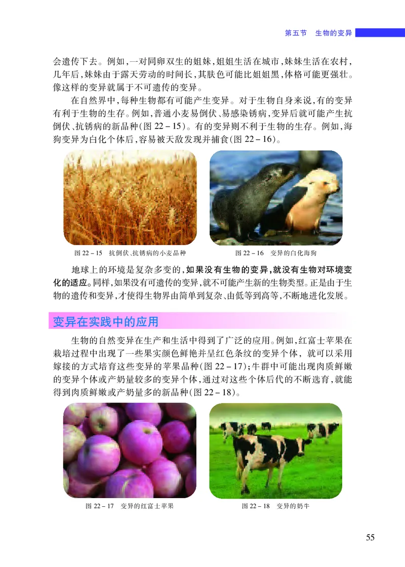 苏教版8年级生物下册高清教材_4-教培资料-26年最新资料-同步更新_初中高中教资_03科三专项（进去保存报考的学科即可）_02科三专项（笔记真题思维导图教学设计版本二）