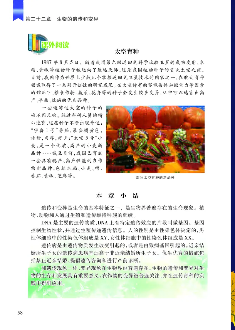 苏教版8年级生物下册高清教材_4-教培资料-26年最新资料-同步更新_初中高中教资_03科三专项（进去保存报考的学科即可）_02科三专项（笔记真题思维导图教学设计版本二）
