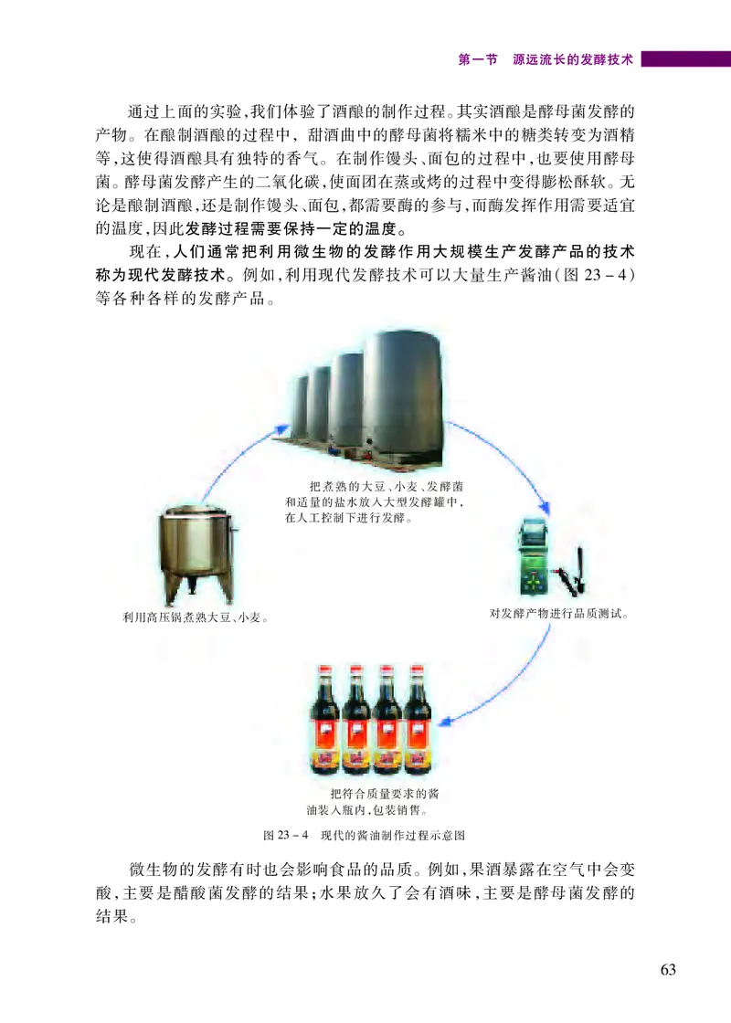 苏教版8年级生物下册高清教材_4-教培资料-26年最新资料-同步更新_初中高中教资_03科三专项（进去保存报考的学科即可）_02科三专项（笔记真题思维导图教学设计版本二）