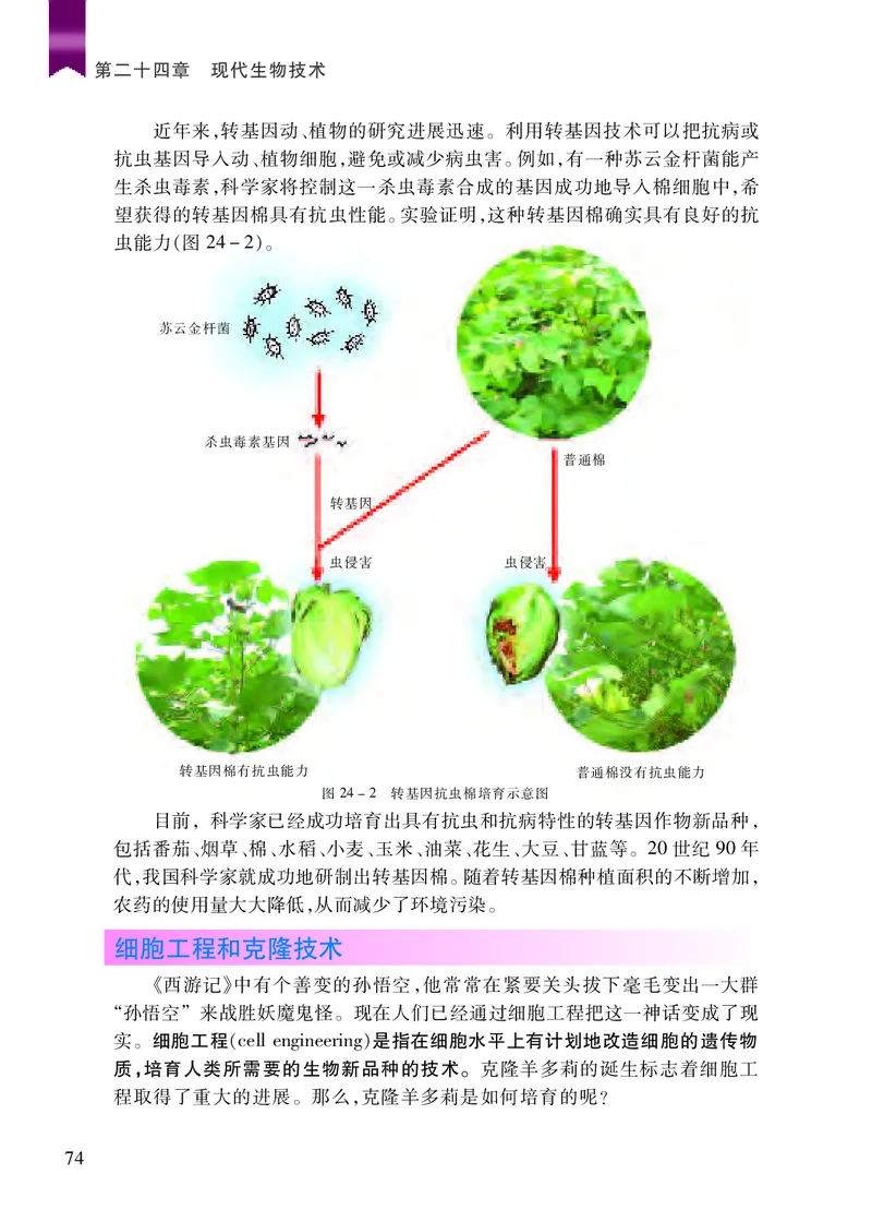 苏教版8年级生物下册高清教材_4-教培资料-26年最新资料-同步更新_初中高中教资_03科三专项（进去保存报考的学科即可）_02科三专项（笔记真题思维导图教学设计版本二）