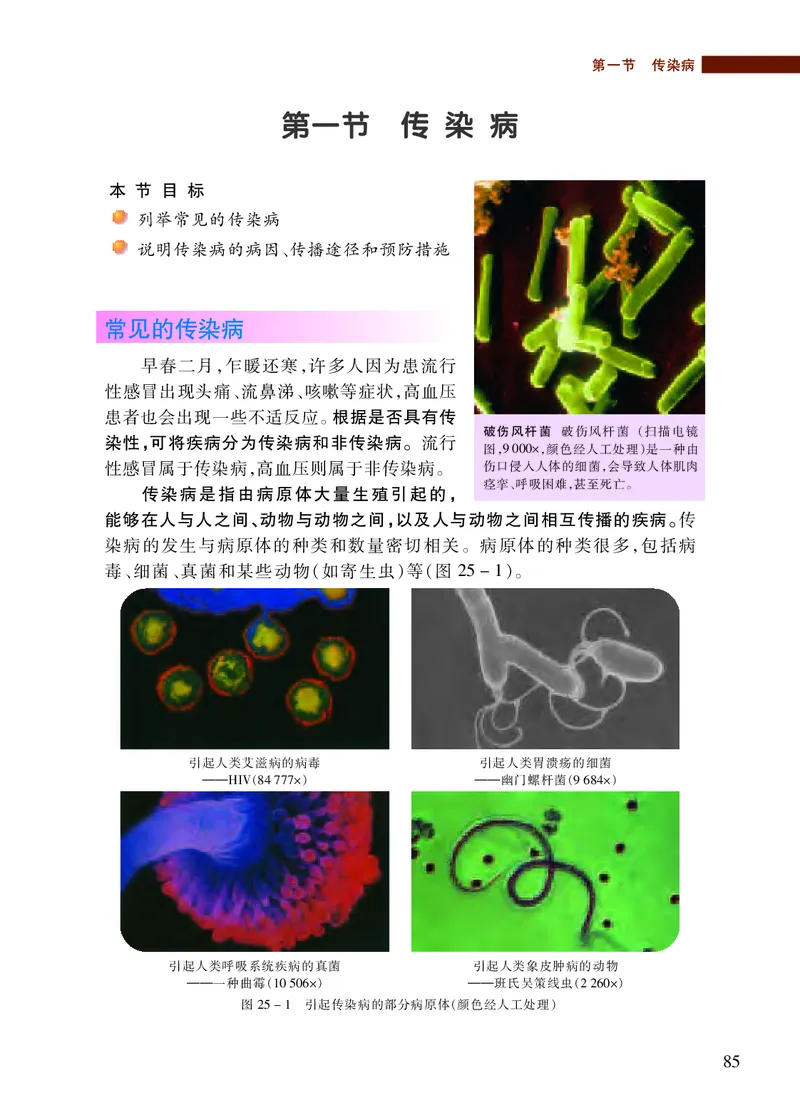 苏教版8年级生物下册高清教材_4-教培资料-26年最新资料-同步更新_初中高中教资_03科三专项（进去保存报考的学科即可）_02科三专项（笔记真题思维导图教学设计版本二）
