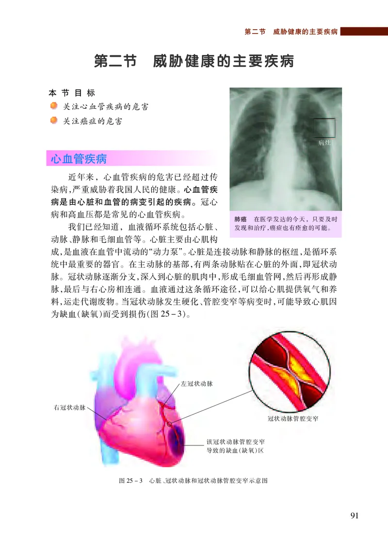 苏教版8年级生物下册高清教材_4-教培资料-26年最新资料-同步更新_初中高中教资_03科三专项（进去保存报考的学科即可）_02科三专项（笔记真题思维导图教学设计版本二）